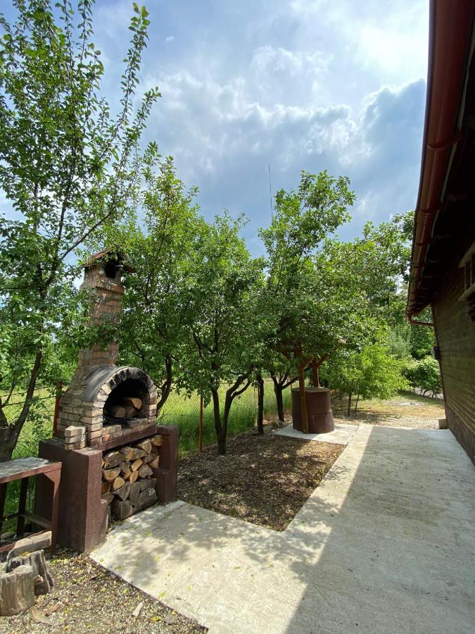 Ab'S Rustic Cabin Dejani المظهر الخارجي الصورة