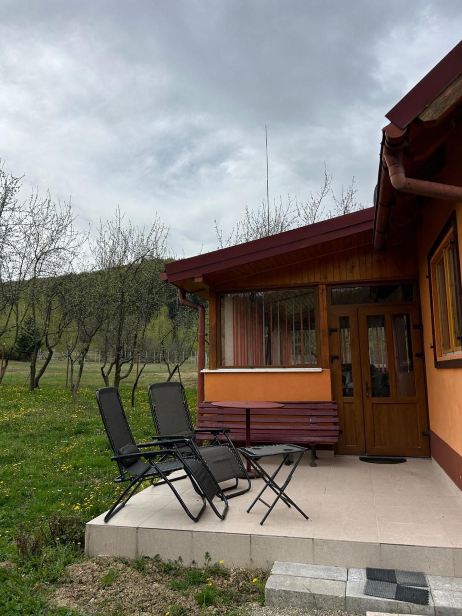 Ab'S Rustic Cabin Dejani المظهر الخارجي الصورة